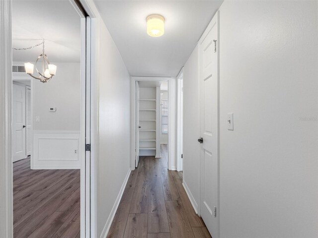 10356 Carrollwood Ln Unit 204, Tampa, FL 33618 - hallway featuring dark wood finished floors, a chandelier, and wainscoting