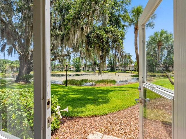 10356 Carrollwood Ln Unit 204, Tampa, FL 33618 - view of green lawn