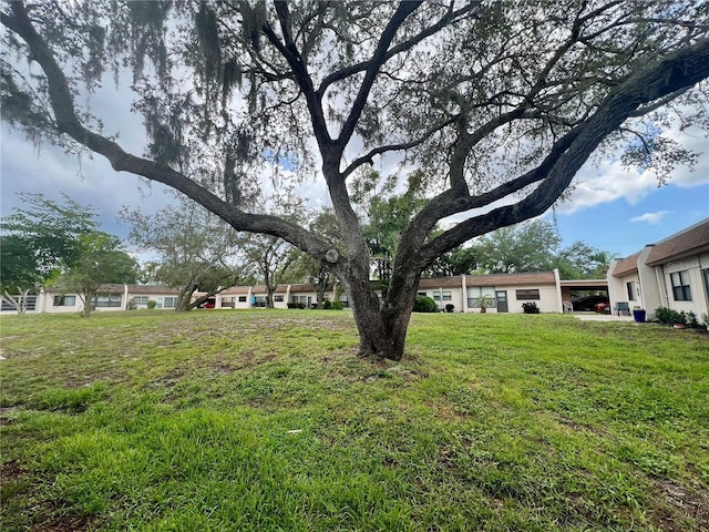 1510 Mission Hills Blvd Unit 19-F, Clearwater, FL 33759 - view of yard