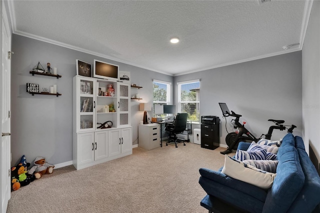 5026 Bromeliad Ave, Wimauma, FL 33598 - office area featuring ornamental molding, carpet floors, a textured ceiling, and baseboards