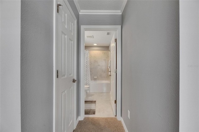5026 Bromeliad Ave, Wimauma, FL 33598 - hall with carpet flooring, baseboards, and crown molding