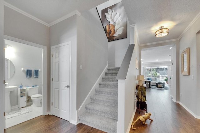 5026 Bromeliad Ave, Wimauma, FL 33598 - stairs featuring wood finished floors, ornamental molding, and baseboards