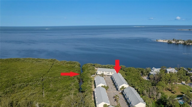 1500 Sunset Rd Unit C10, Tarpon Springs, FL 34689 - drone / aerial view of a large body of water