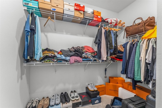 13859 Sharp Hawk Dr, Riverview, FL 33569 - walk in closet with carpet floors