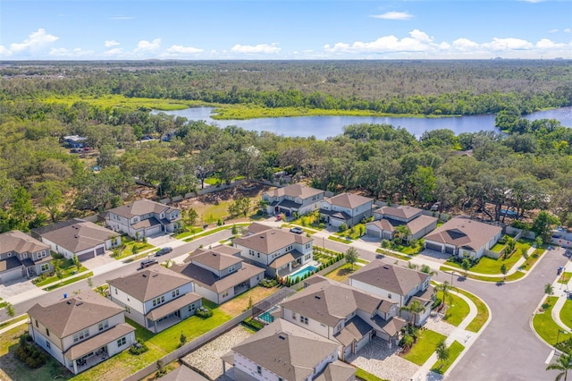 13859 Sharp Hawk Dr, Riverview, FL 33569 - aerial view of residential area featuring a heavily wooded area and a nearby body of water