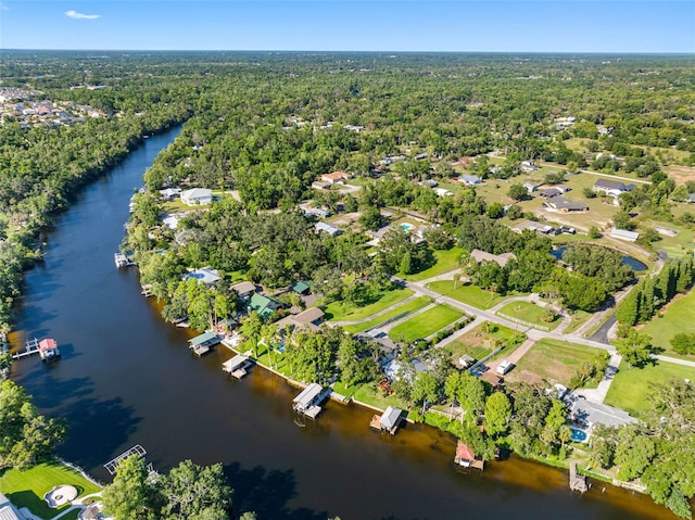 11109 Winn Rd, Riverview, FL 33569 - view of property location featuring a nearby body of water and a forest