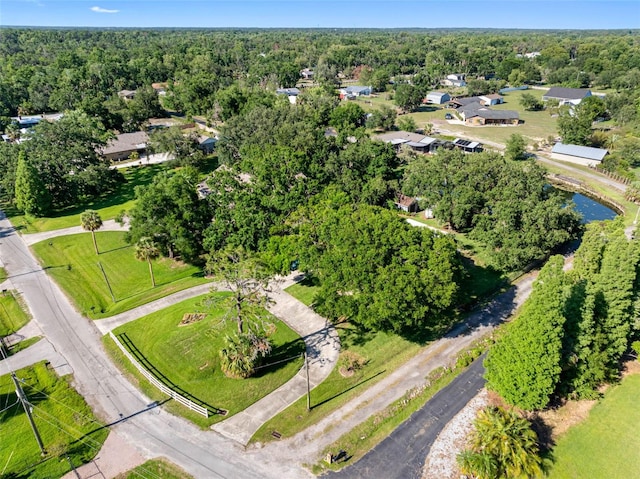 11109 Winn Rd, Riverview, FL 33569 - bird's eye view of a forest