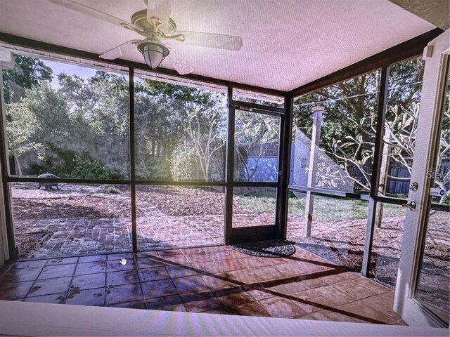 910 Robinson Dr N, Saint Petersburg, FL 33710 - photo 13