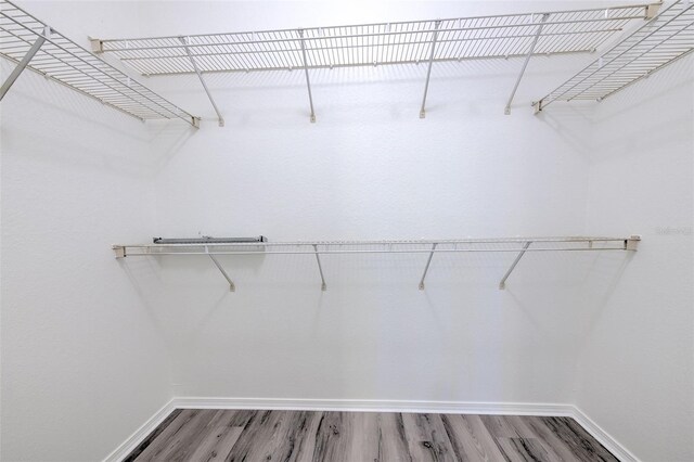 13025 Sanctuary Cove Dr Unit 301, Temple Terrace, FL 33637 - spacious closet featuring light wood-style floors
