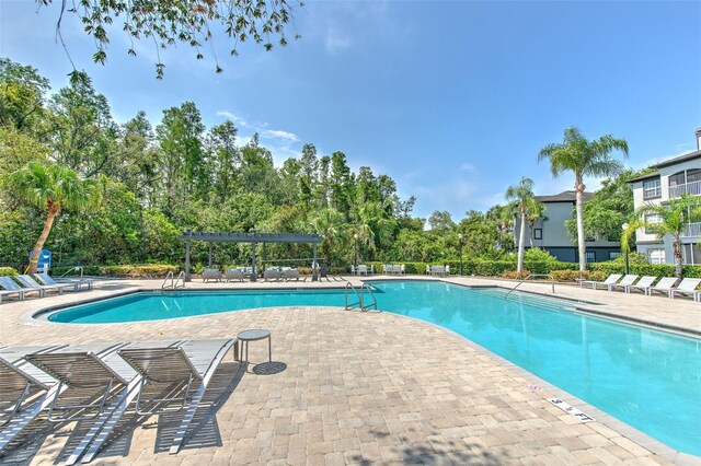 13025 Sanctuary Cove Dr Unit 301, Temple Terrace, FL 33637 - community pool featuring a patio area and view of scattered trees