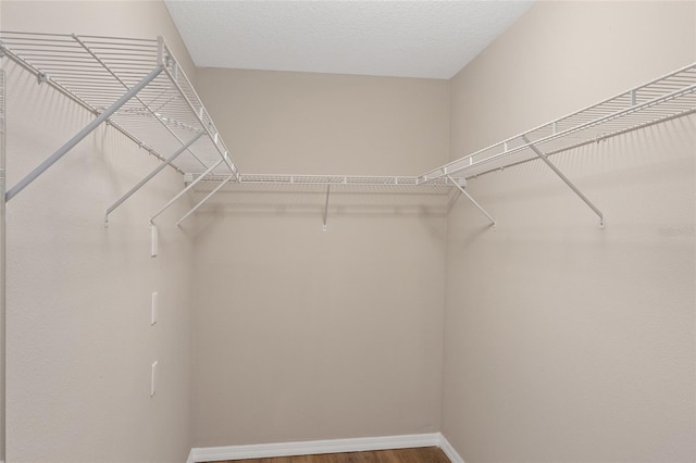 10808 Whitecap Dr, Riverview, FL 33579 - walk in closet featuring wood finished floors