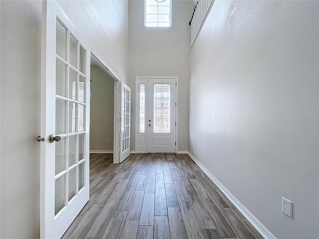 3063 Marine Grass Dr, Wimauma, FL 33598 - entryway featuring healthy amount of natural light, wood finished floors, and baseboards