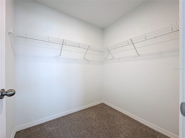 3063 Marine Grass Dr, Wimauma, FL 33598 - walk in closet with carpet flooring
