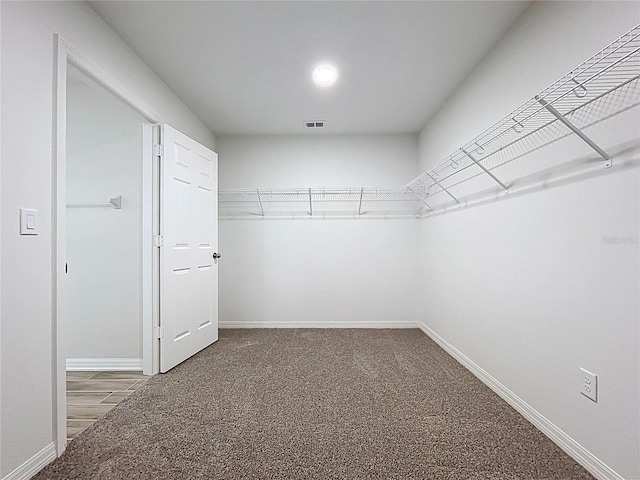 3063 Marine Grass Dr, Wimauma, FL 33598 - walk in closet with carpet floors