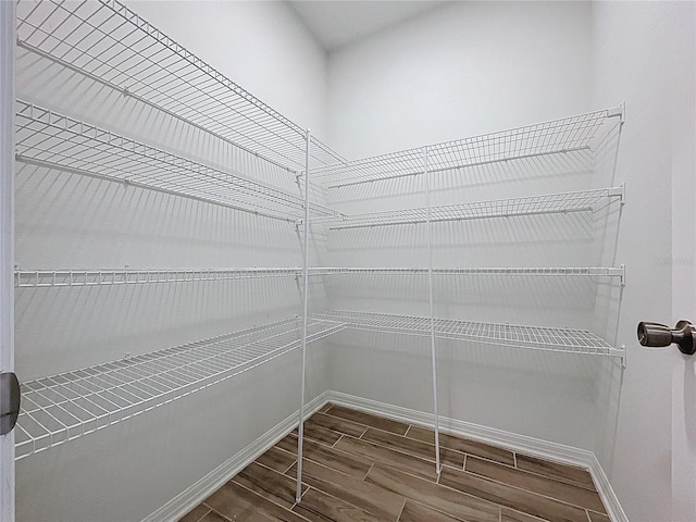 3063 Marine Grass Dr, Wimauma, FL 33598 - view of storage area
