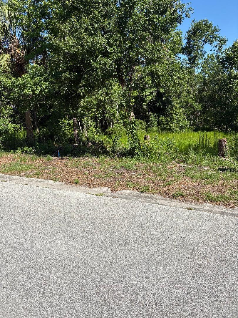 15 Lake Hills Dr, Riverview, FL 33578 - photo 4