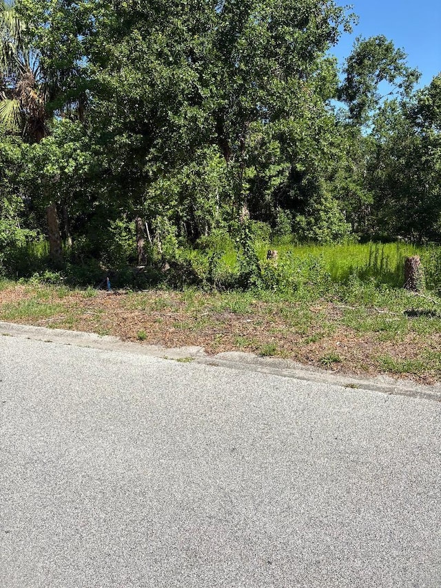 15 Lake Hills Dr, Riverview, FL 33578 - photo 4