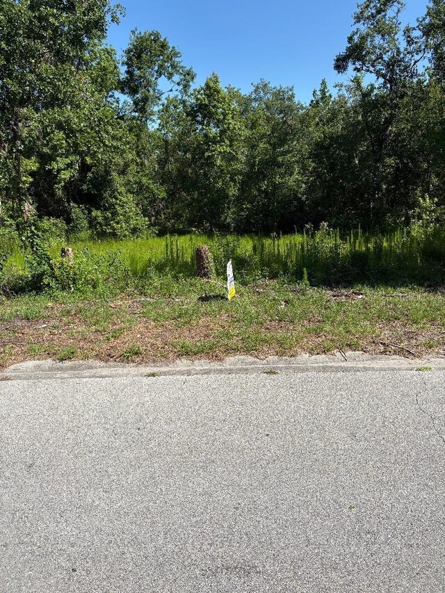 15 Lake Hills Dr, Riverview, FL 33578 - photo 2
