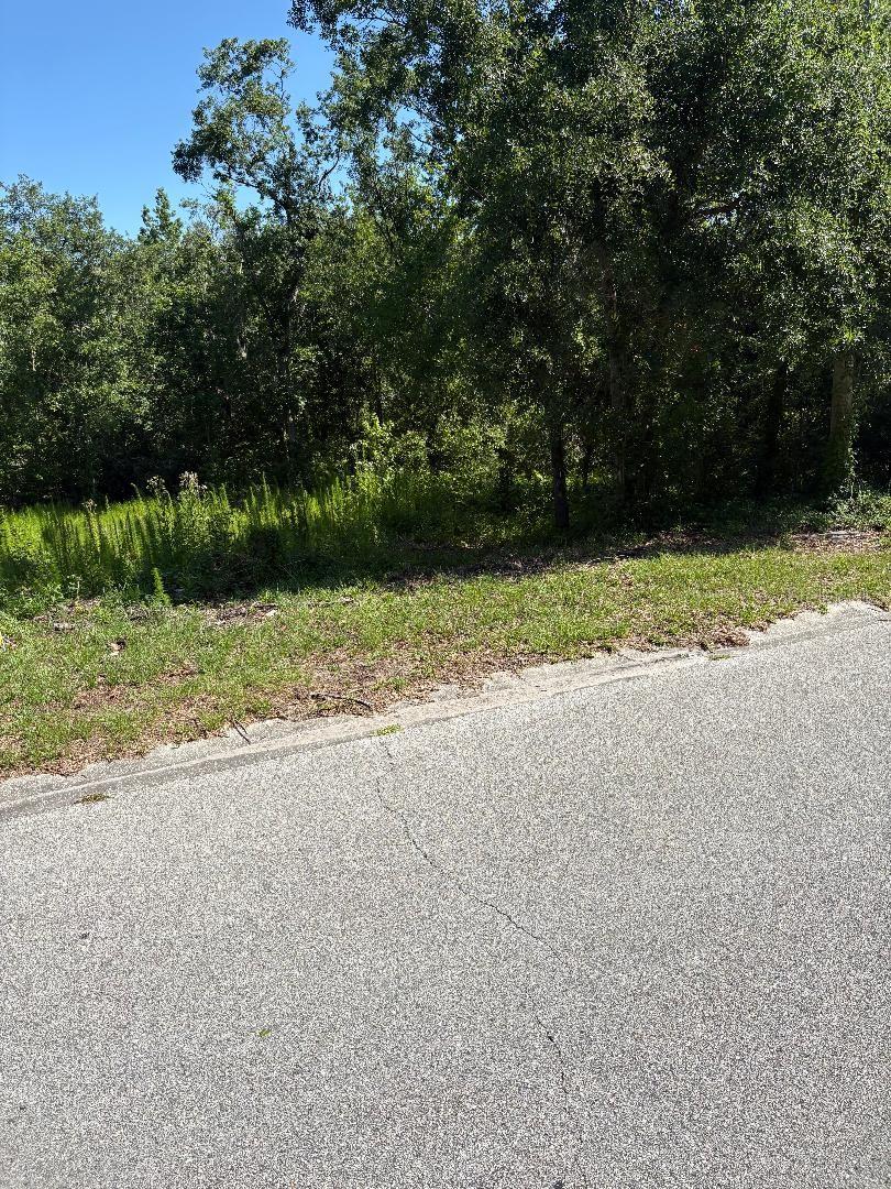 15 Lake Hills Dr, Riverview, FL 33578 - photo 3