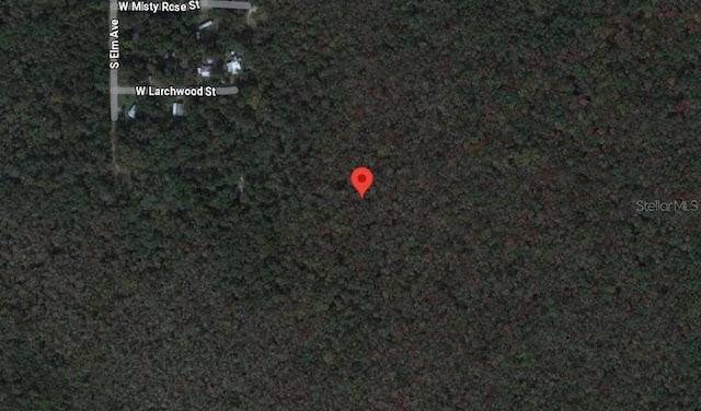 10006 W Brocade St, Homosassa, FL 34448