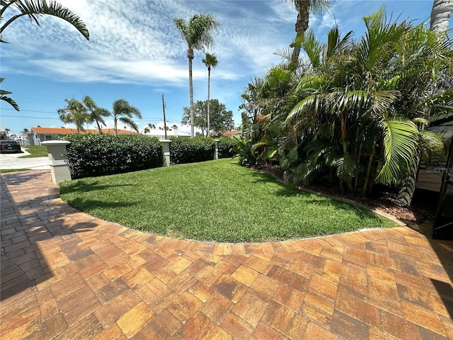 3654 Corsair Ct, New Port Richey, FL 34652 - view of green lawn