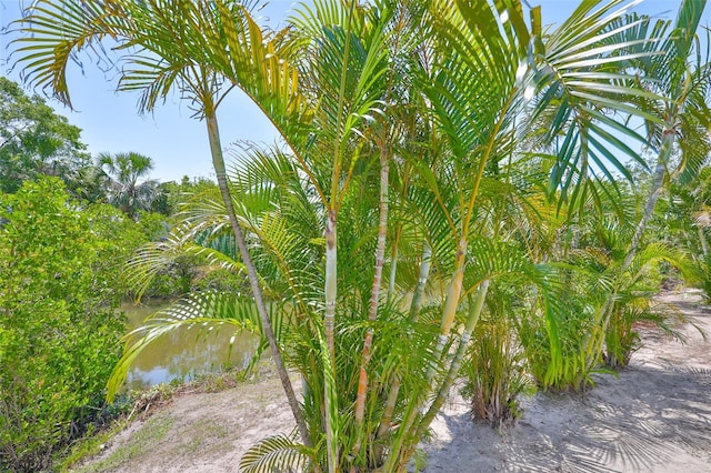 214 Lookout Dr, Apollo Beach, FL 33572 - water view