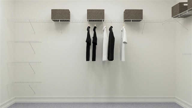 11733 E 71st Ter, Palmetto, FL 34221 - view of spacious closet