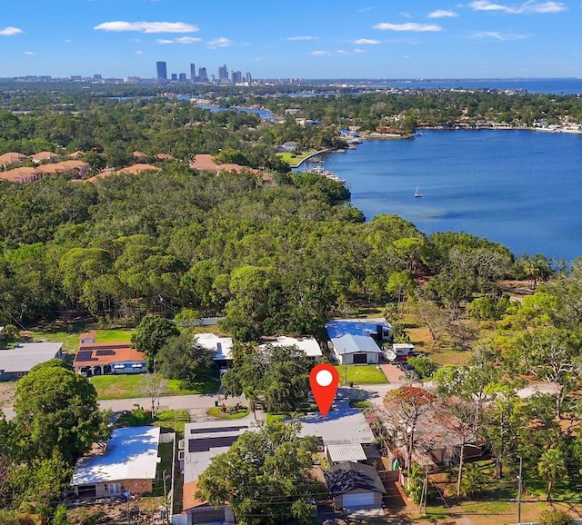 310 55th Ave S, Saint Petersburg, FL 33705 - aerial overview of property's location featuring a large body of water and a heavily wooded area