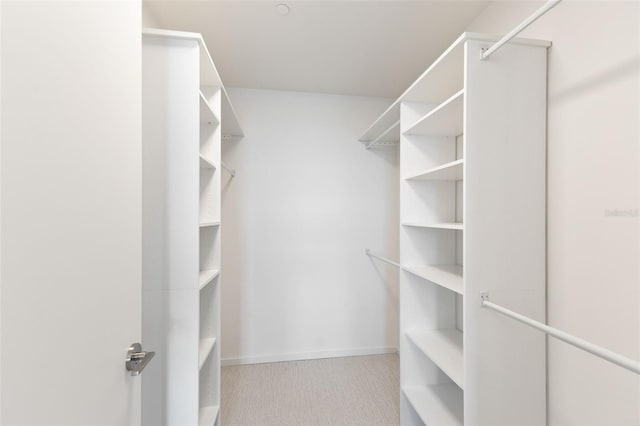 1020 Sunset Point Rd Unit 410, Clearwater, FL 33756 - spacious closet with carpet flooring