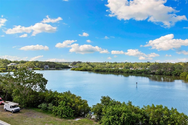 1020 Sunset Point Rd Unit 410, Clearwater, FL 33756 - water view with a forest