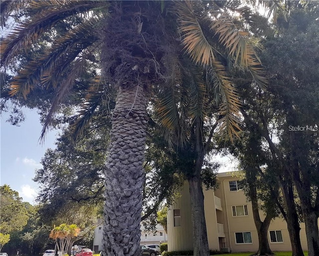 2441 Persian Dr Unit 61, Clearwater, FL 33763 - view of property exterior with stucco siding