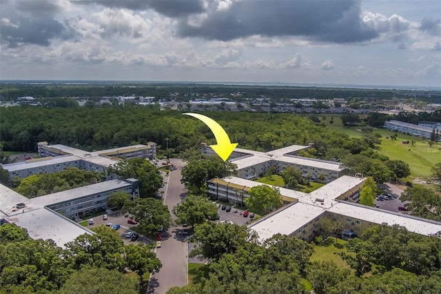 2441 Persian Dr Unit 61, Clearwater, FL 33763 - bird's eye view