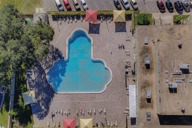 2441 Persian Dr Unit 61, Clearwater, FL 33763 - bird's eye view of a pool area