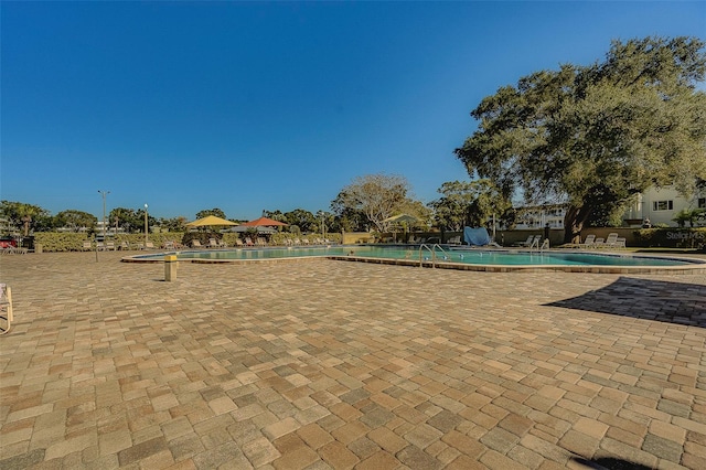 2441 Persian Dr Unit 61, Clearwater, FL 33763 - community pool with a patio