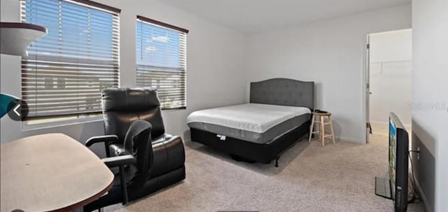 10448 Ladybug Cv, Parrish, FL 34219 - carpeted bedroom featuring a walk in closet