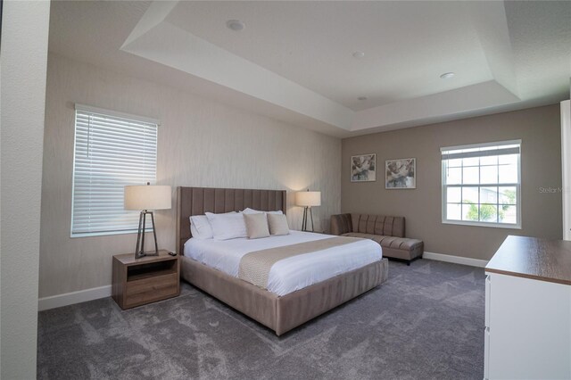 1430 Reunion Blvd, Reunion, FL 34747 - bedroom featuring a raised ceiling, carpet floors, and baseboards