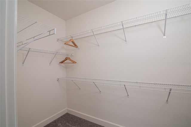 1430 Reunion Blvd, Reunion, FL 34747 - spacious closet featuring carpet floors