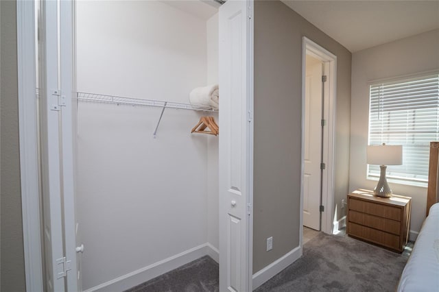 1430 Reunion Blvd, Reunion, FL 34747 - view of closet