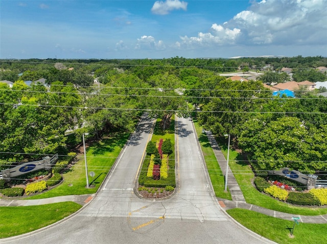 11726 S Stone Ln, Riverview, FL 33569 - bird's eye view