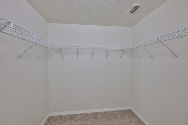 11726 S Stone Ln, Riverview, FL 33569 - spacious closet with light carpet