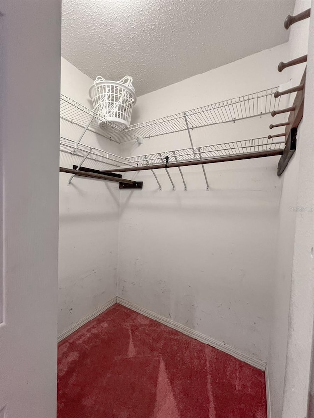 502 Chilt Dr, Brandon, FL 33510 - walk in closet with carpet flooring