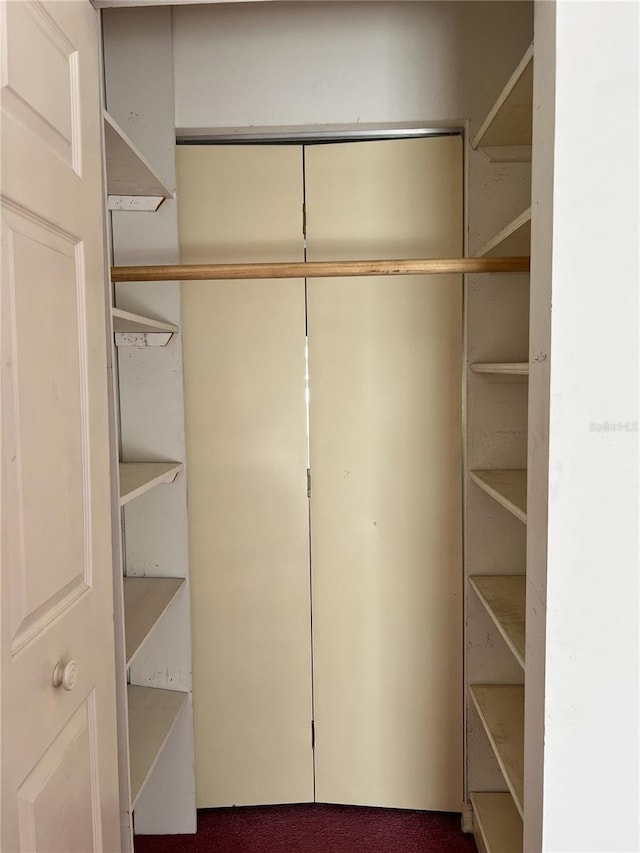 502 Chilt Dr, Brandon, FL 33510 - view of closet