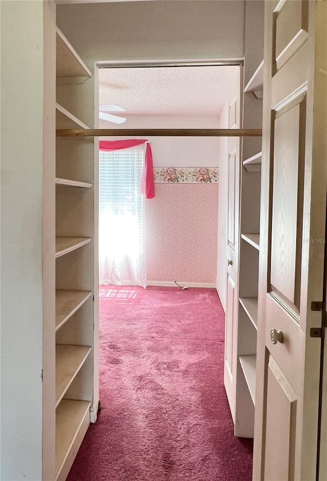 502 Chilt Dr, Brandon, FL 33510 - walk in closet featuring carpet flooring