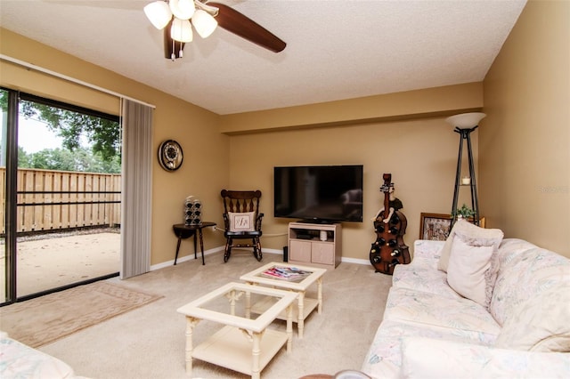 2725 11th Ct, Palm Harbor, FL 34684 - photo 6
