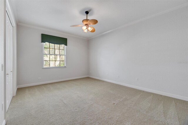 4641 John Moore Rd, Brandon, FL 33511 - photo 56