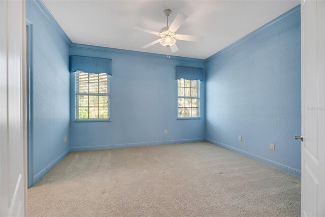 4641 John Moore Rd, Brandon, FL 33511 - photo 57