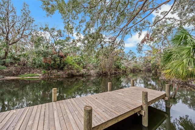 4641 John Moore Rd, Brandon, FL 33511 - photo 78
