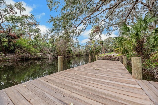 4641 John Moore Rd, Brandon, FL 33511 - photo 79