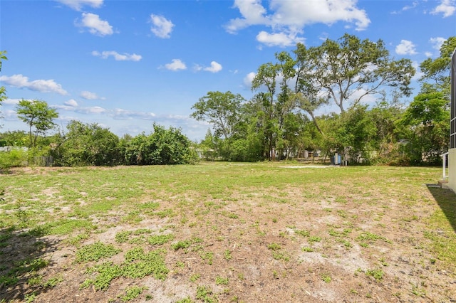 10306 Shalimar Wood Dr, Thonotosassa, FL 33592 - view of yard
