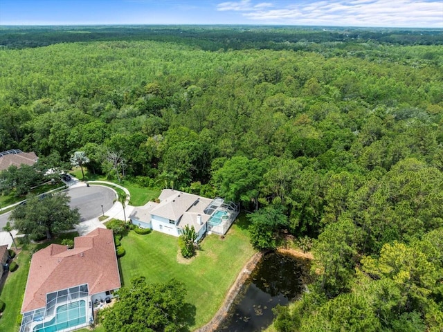 6127 Cezanne Ave, Lutz, FL 33558 - aerial view of a forest